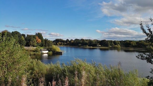 Duddingston Loch